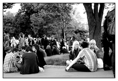 Publikum im Gras